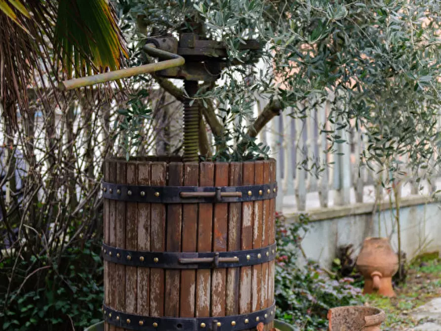 Immagine 51 di Villa in vendita  in Vicolo Casale 1 a Ticineto