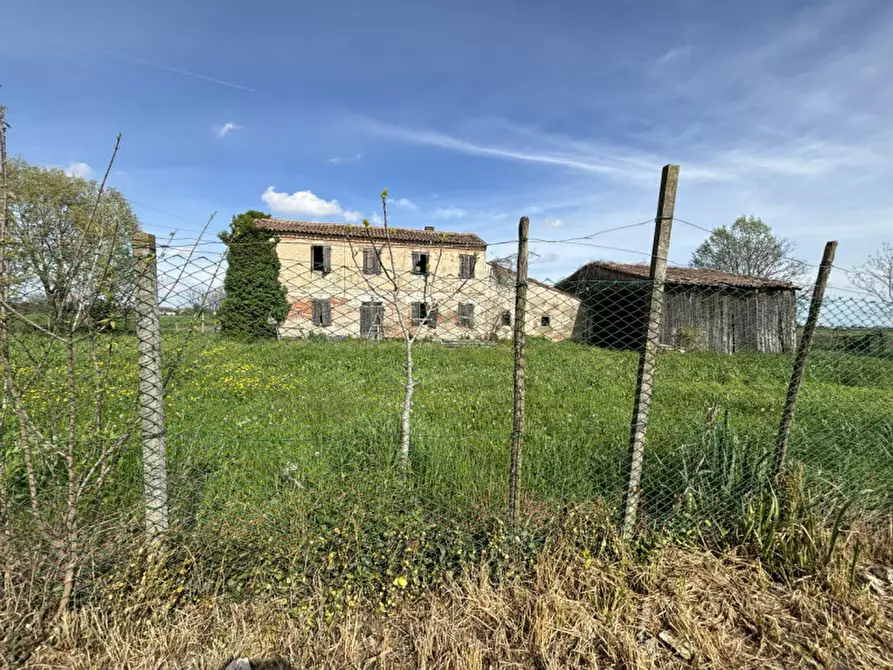 Immagine 2 di Rustico / casale in vendita  a Arre