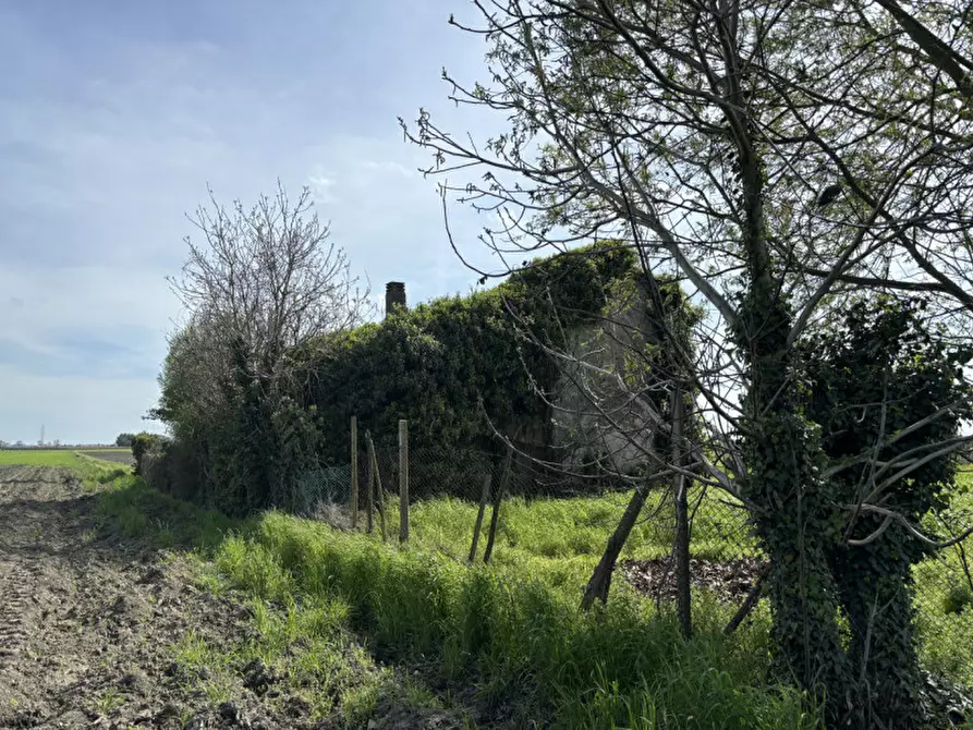 Immagine 3 di Rustico / casale in vendita  a Arre