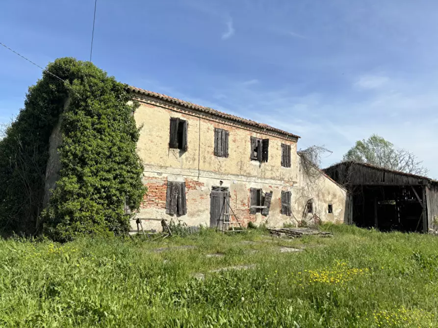 Immagine 4 di Rustico / casale in vendita  a Arre