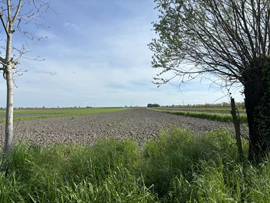 Immagine 7 di Rustico / casale in vendita  a Arre
