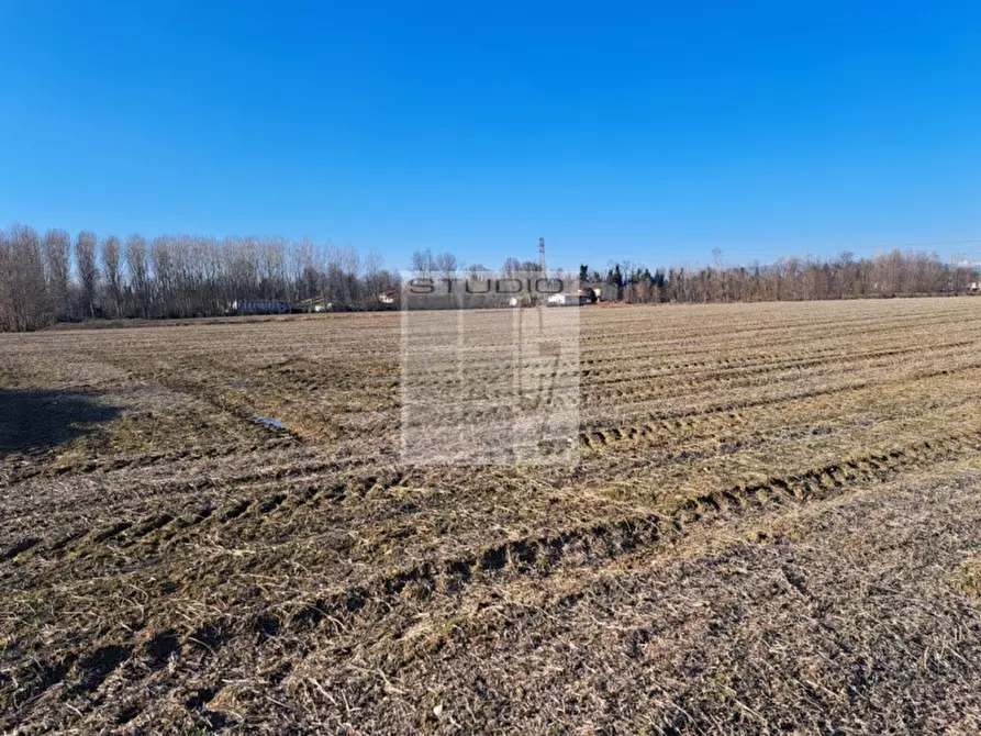 Immagine 5 di Terreno in vendita  in via Guizze alte a Loreggia