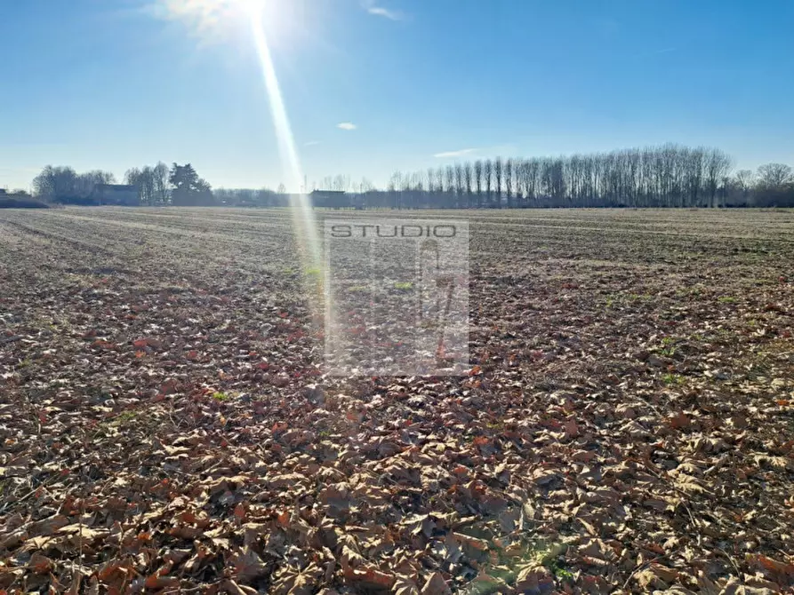Immagine 6 di Terreno in vendita  in via Guizze alte a Loreggia