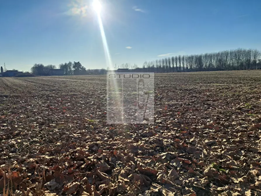 Immagine 10 di Terreno in vendita  in via Guizze alte a Loreggia