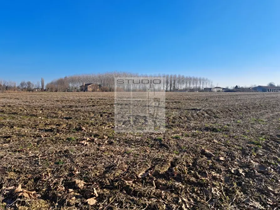 Immagine 13 di Terreno in vendita  in via Guizze alte a Loreggia