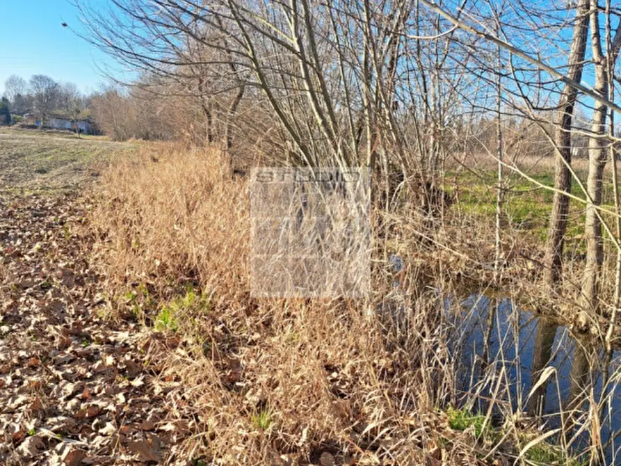 Immagine 15 di Terreno in vendita  in via Guizze alte a Loreggia