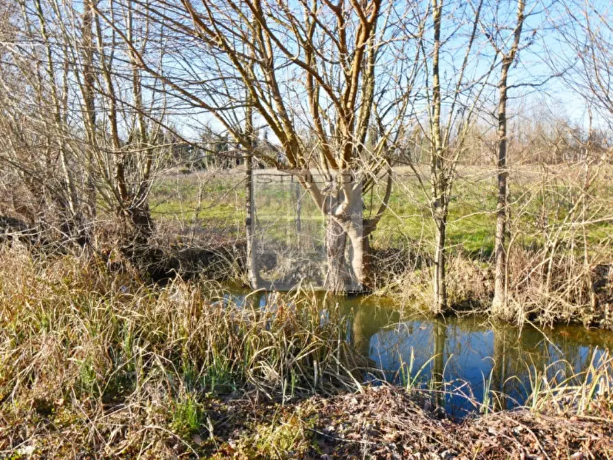 Immagine 19 di Terreno in vendita  in via Guizze alte a Loreggia