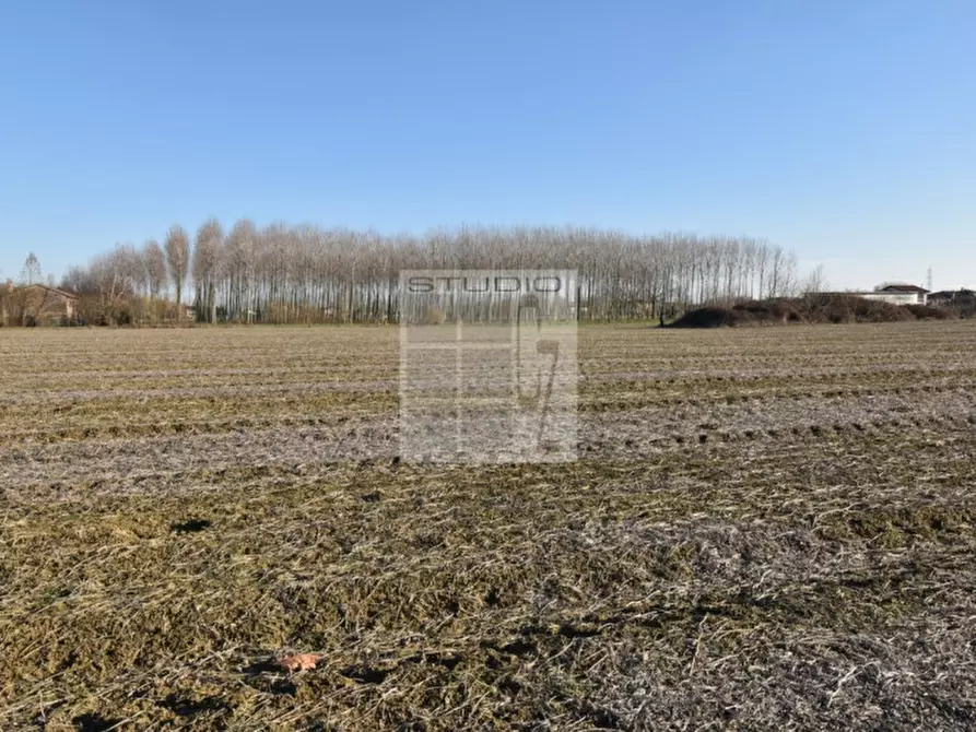 Immagine 20 di Terreno in vendita  in via Guizze alte a Loreggia