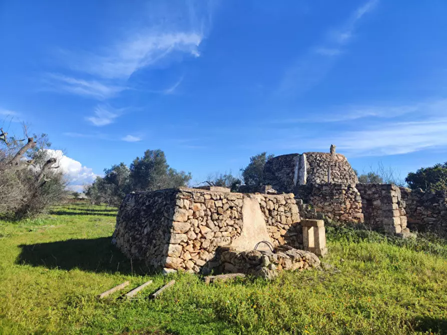 Immagine 3 di Rustico / casale in vendita  in contrada Padula a Galatone