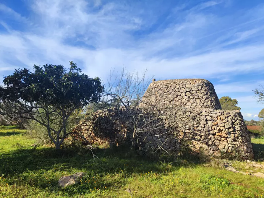 Immagine 4 di Rustico / casale in vendita  in contrada Padula a Galatone