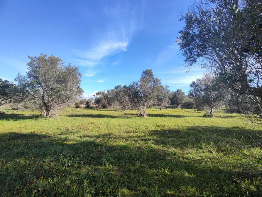 Immagine 5 di Rustico / casale in vendita  in contrada Padula a Galatone