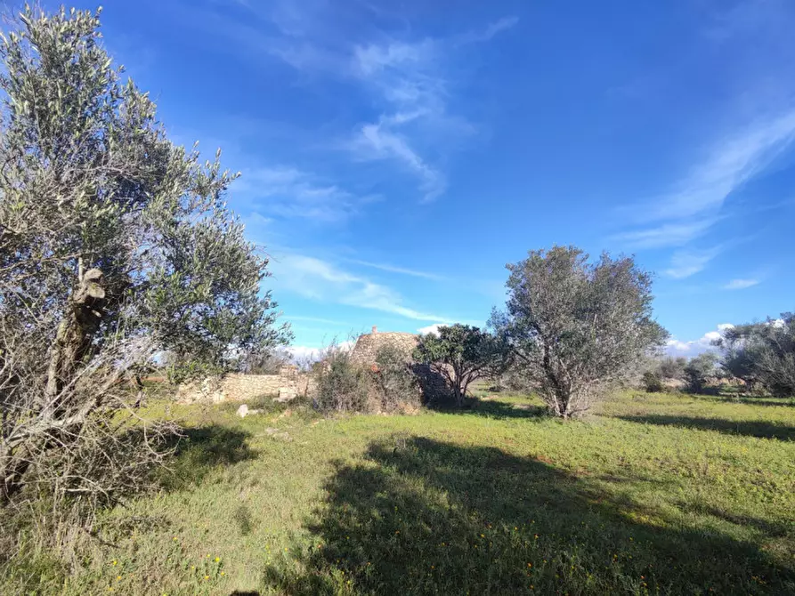 Immagine 6 di Rustico / casale in vendita  in contrada Padula a Galatone