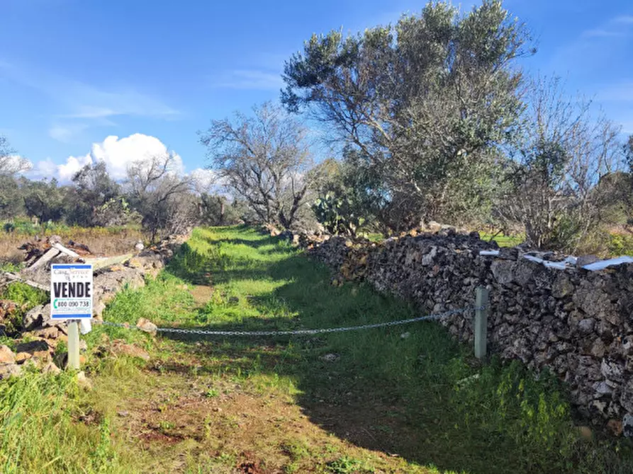 Immagine 7 di Rustico / casale in vendita  in contrada Padula a Galatone