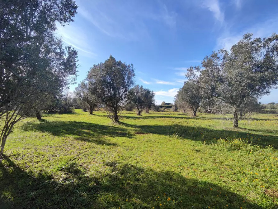 Immagine 8 di Rustico / casale in vendita  in contrada Padula a Galatone