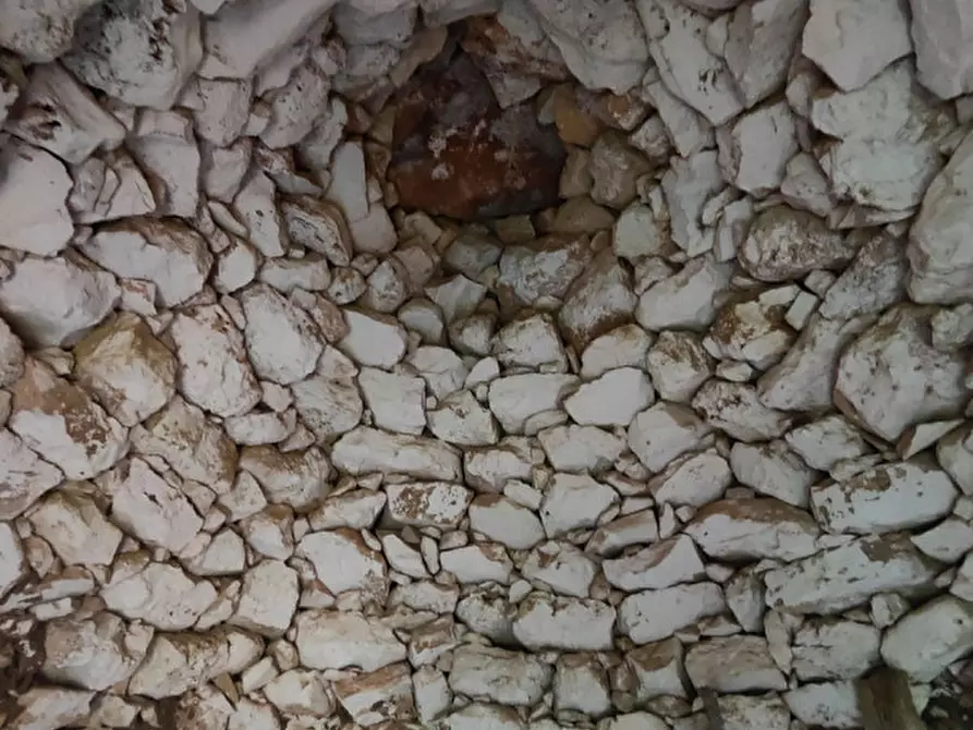 Immagine 9 di Rustico / casale in vendita  in contrada Padula a Galatone