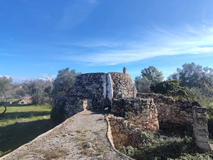 Immagine 12 di Rustico / casale in vendita  in contrada Padula a Galatone