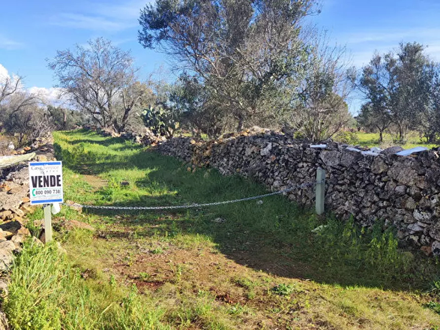 Immagine 14 di Rustico / casale in vendita  in contrada Padula a Galatone