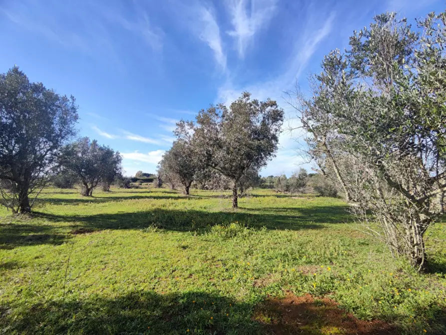 Immagine 15 di Rustico / casale in vendita  in contrada Padula a Galatone