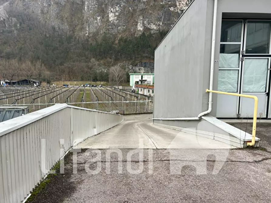 Immagine 7 di Capannone industriale in vendita  in Via Nazionale a Salorno .Salurn.