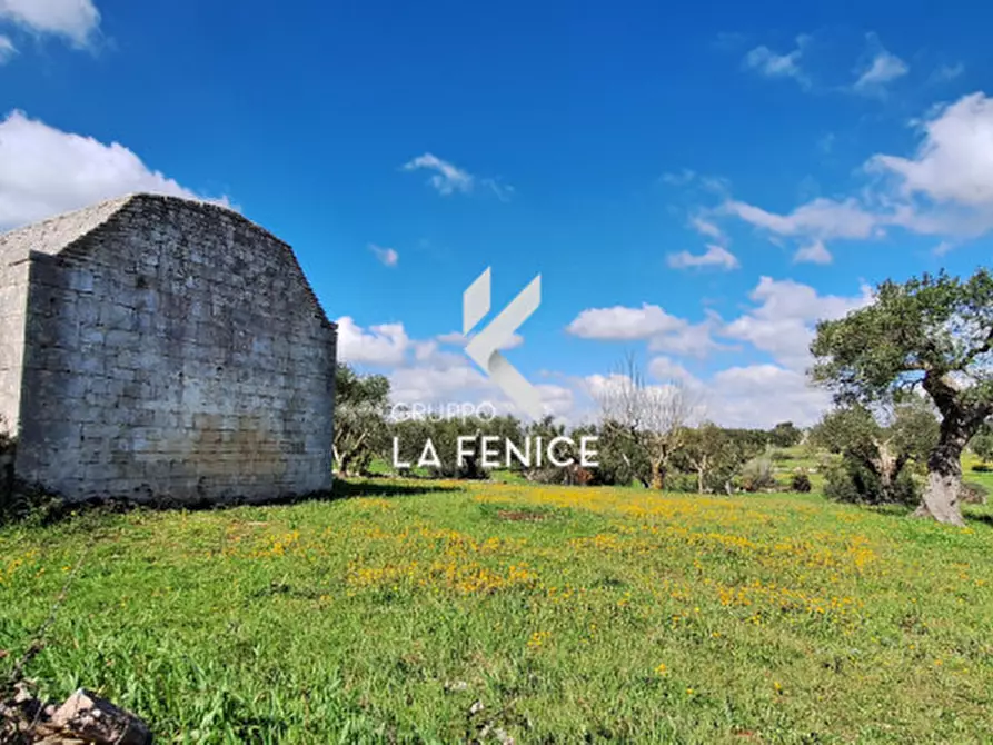 Immagine 7 di Rustico / casale in vendita  in contrada Cristi a Locorotondo