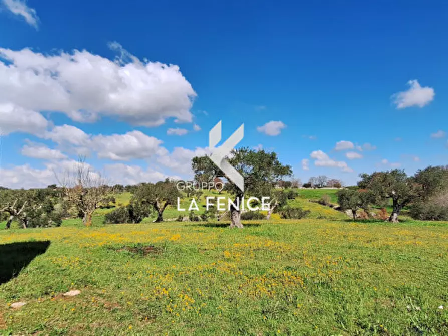 Immagine 13 di Rustico / casale in vendita  in contrada Cristi a Locorotondo