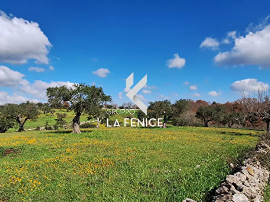 Immagine 14 di Rustico / casale in vendita  in contrada Cristi a Locorotondo