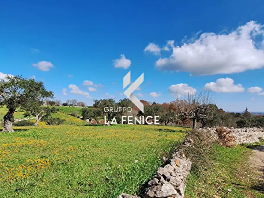 Immagine 15 di Rustico / casale in vendita  in contrada Cristi a Locorotondo