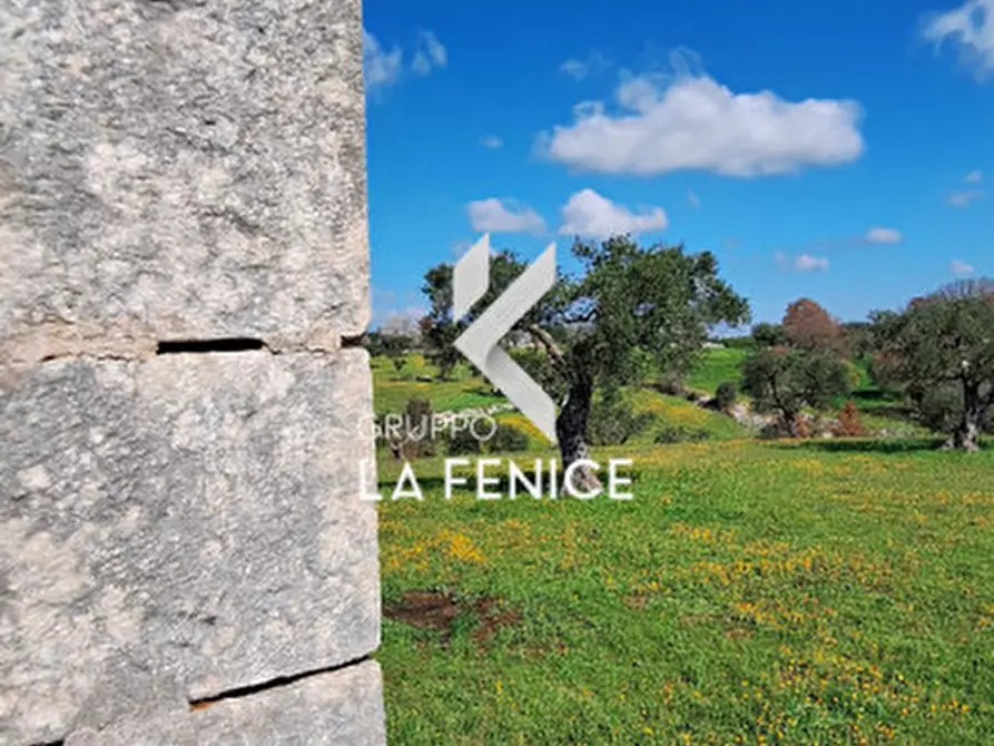 Immagine 21 di Rustico / casale in vendita  in contrada Cristi a Locorotondo