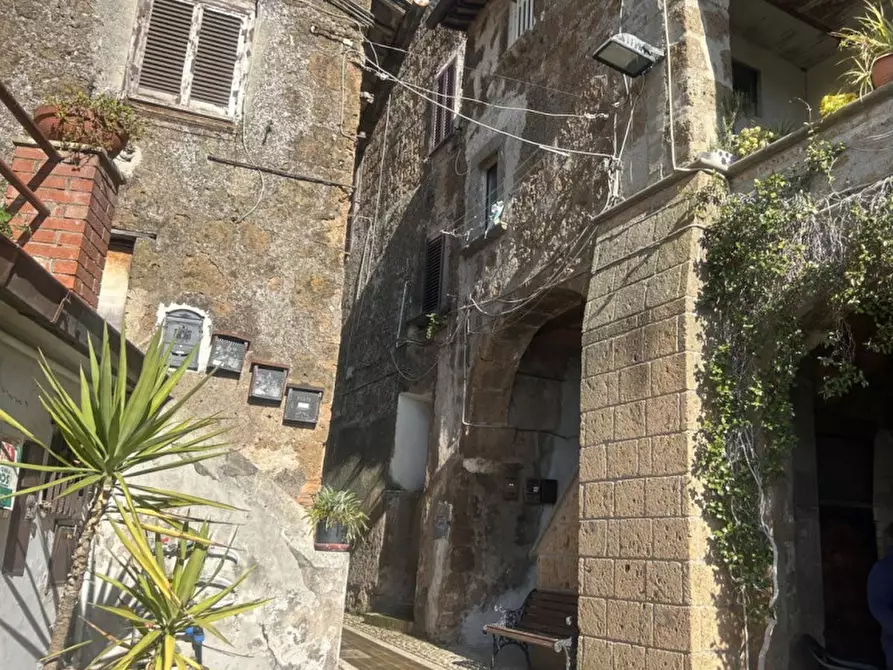 Immagine 20 di Appartamento in vendita  in Via Mazzini a Gallese