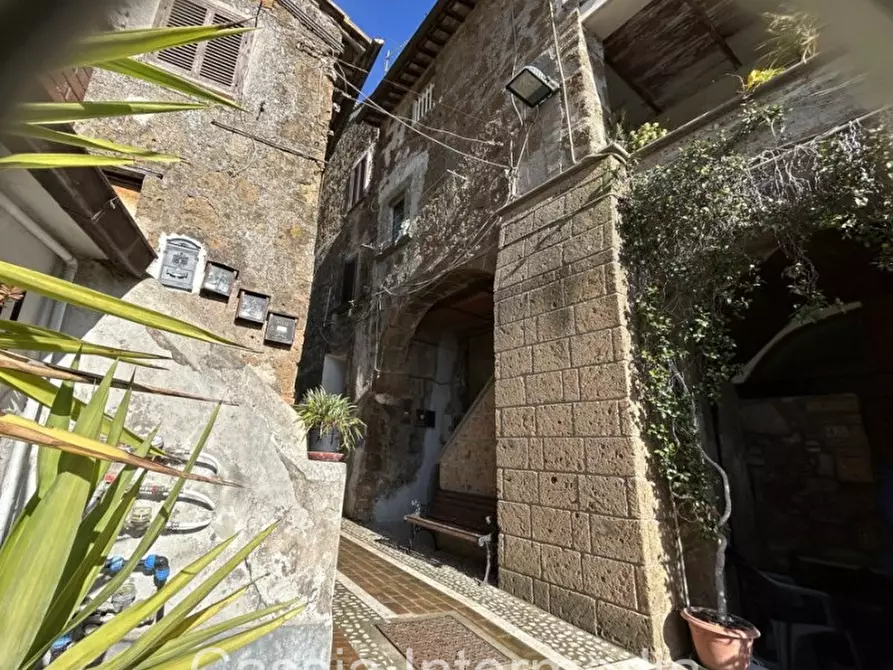 Immagine 22 di Appartamento in vendita  in Via Mazzini a Gallese