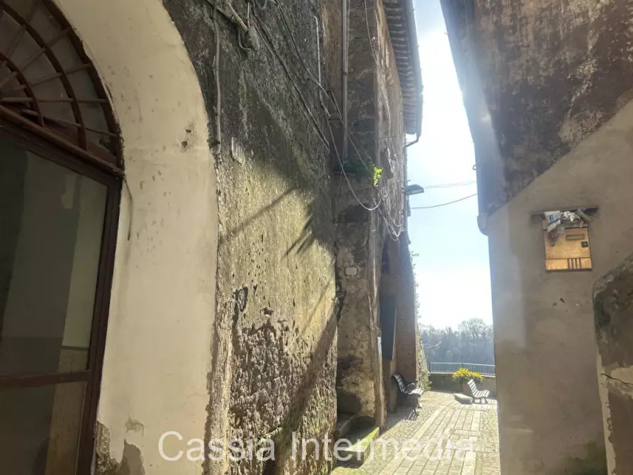 Immagine 23 di Appartamento in vendita  in Via Mazzini a Gallese