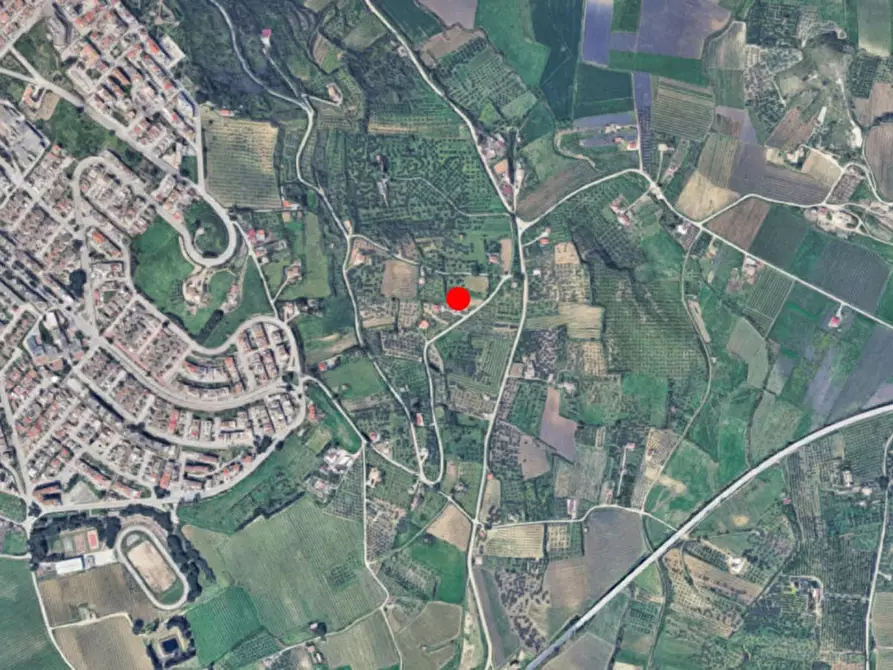 Immagine 9 di Terreno in vendita  in C.da Bonadore, N. snc a Santa Ninfa