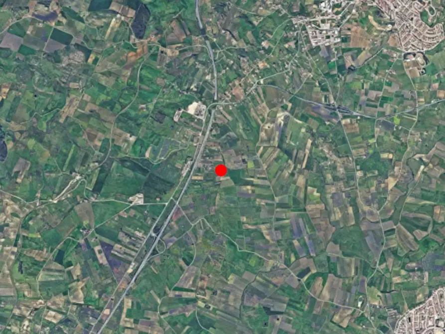 Immagine 9 di Terreno in vendita  in Contrada Planeta, N. snc a Partanna