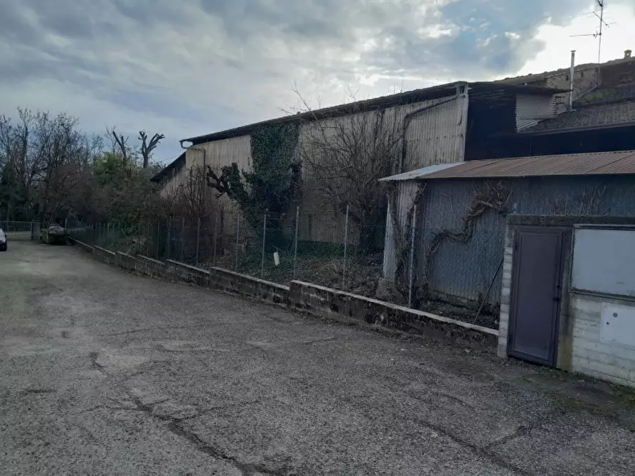 Immagine 18 di Rustico / casale in vendita  in Località Bannone a Traversetolo