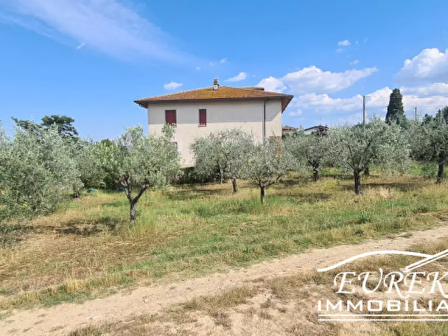 Immagine 1 di Terreno in vendita  in montepulciano a Montepulciano