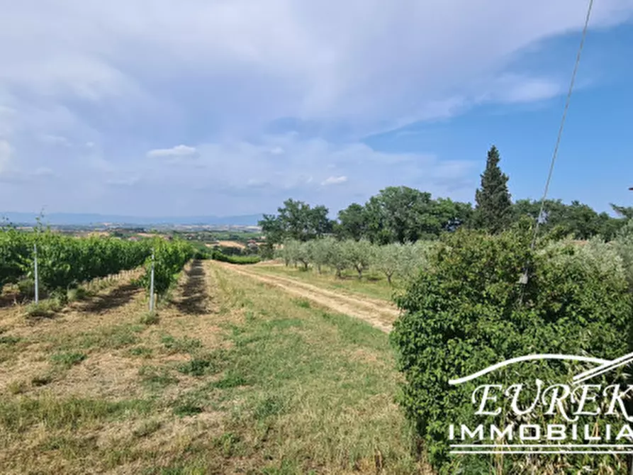Immagine 6 di Terreno in vendita  in montepulciano a Montepulciano