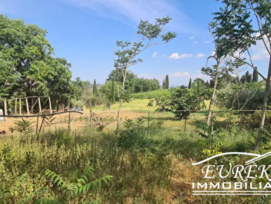 Immagine 8 di Terreno in vendita  in montepulciano a Montepulciano
