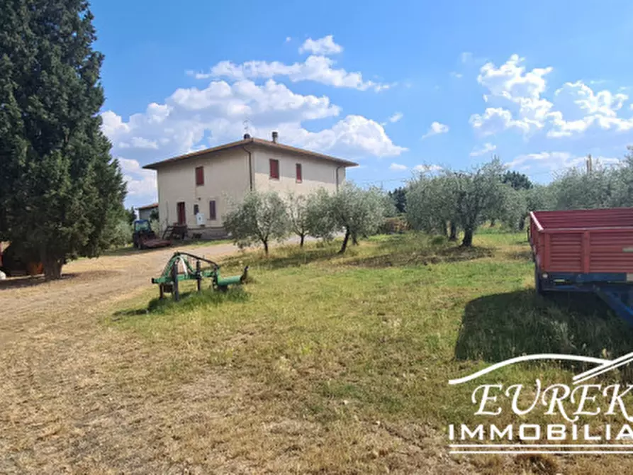 Immagine 9 di Terreno in vendita  in montepulciano a Montepulciano