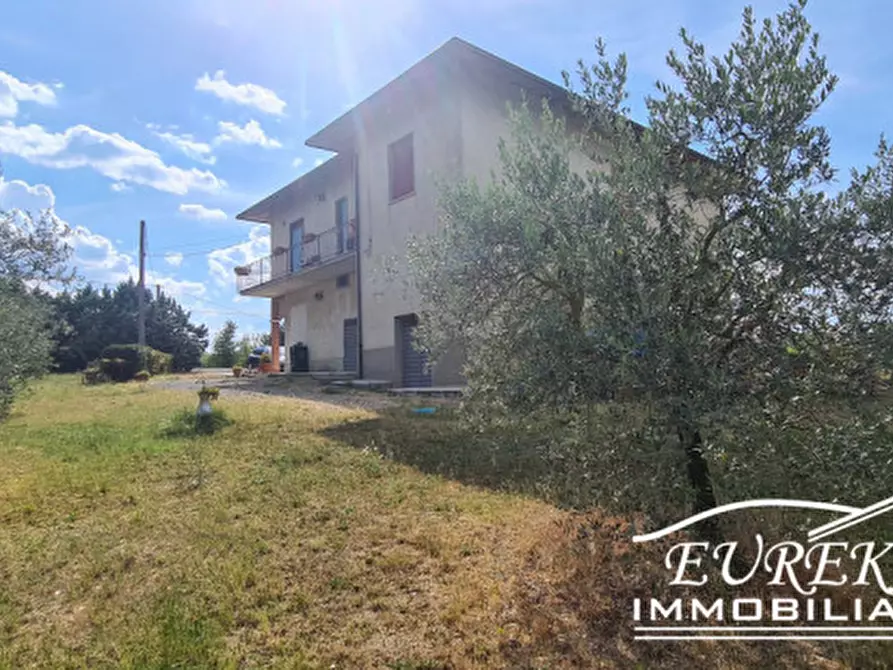 Immagine 10 di Terreno in vendita  in montepulciano a Montepulciano