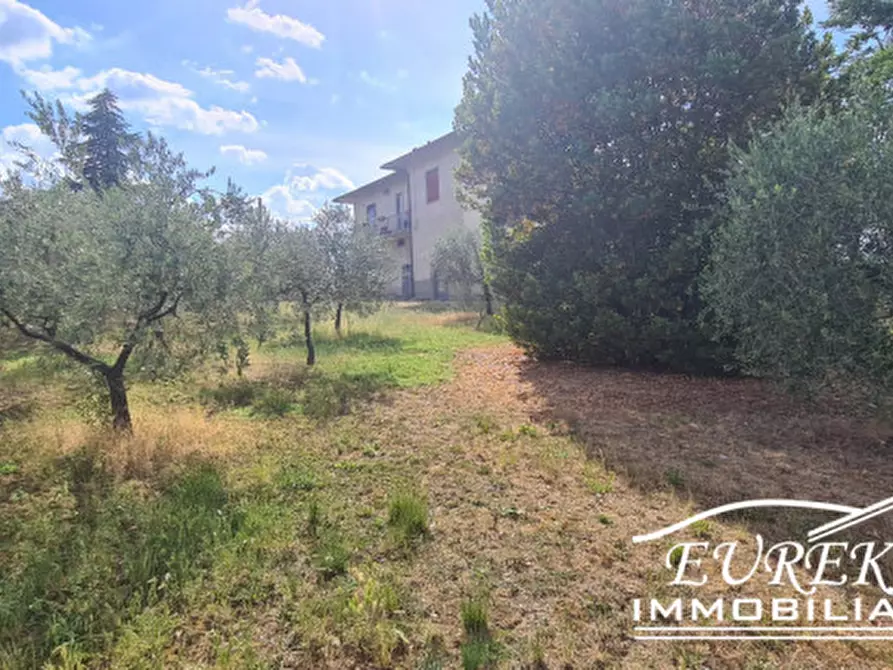 Immagine 11 di Terreno in vendita  in montepulciano a Montepulciano