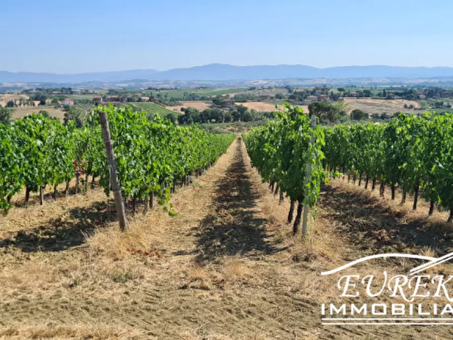 Immagine 15 di Terreno in vendita  in montepulciano a Montepulciano