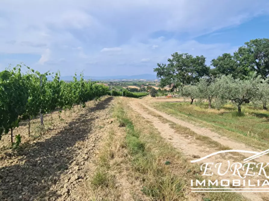 Immagine 17 di Terreno in vendita  in montepulciano a Montepulciano