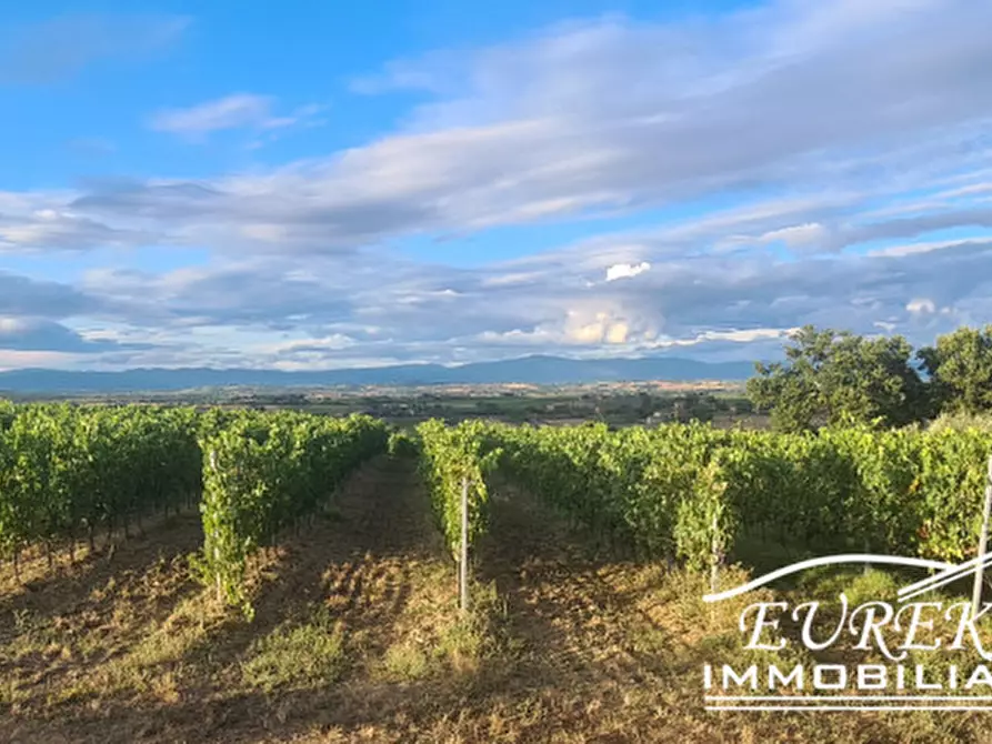 Immagine 19 di Terreno in vendita  in montepulciano a Montepulciano