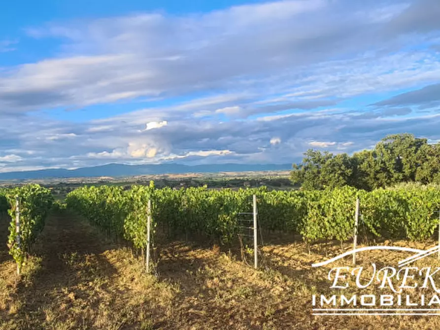 Immagine 20 di Terreno in vendita  in montepulciano a Montepulciano