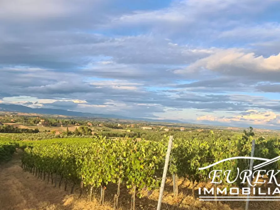 Immagine 21 di Terreno in vendita  in montepulciano a Montepulciano
