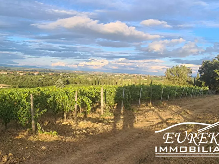 Immagine 22 di Terreno in vendita  in montepulciano a Montepulciano