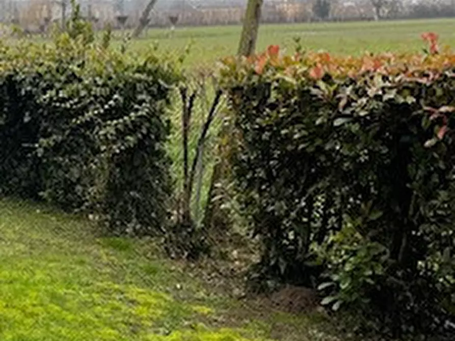 Immagine 25 di Casa indipendente in vendita  a Piacenza D'adige