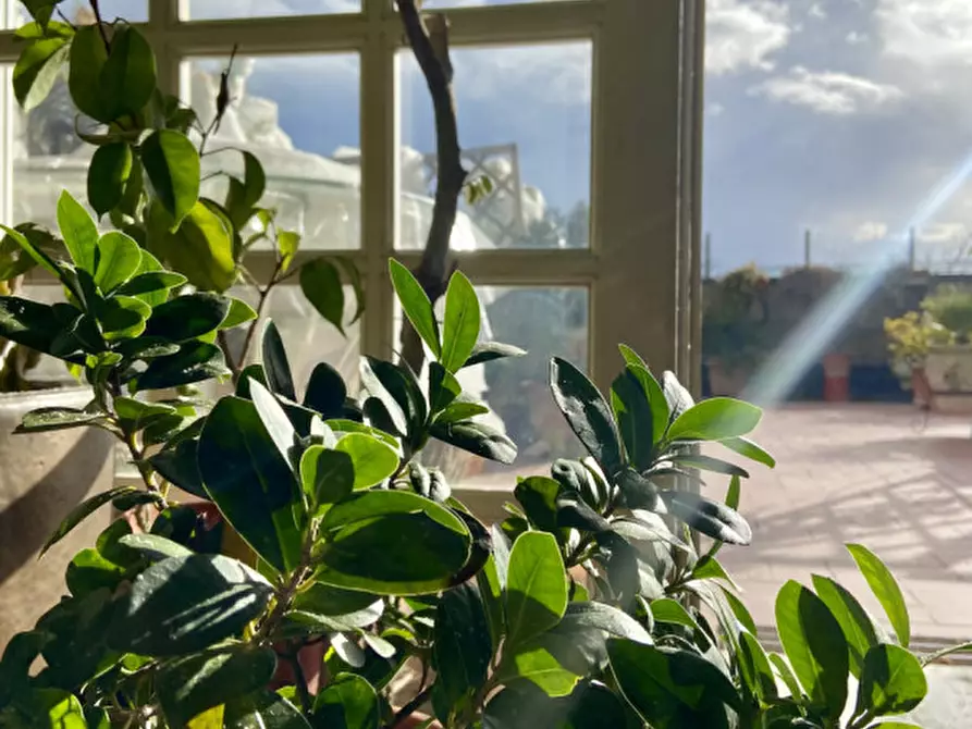 Immagine 11 di Attico in vendita  in Via Savena Antico a Bologna