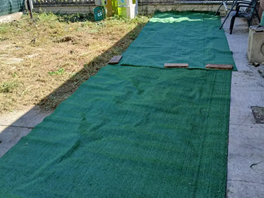 Immagine 7 di Appartamento in vendita  a Luzzara