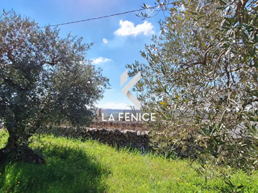 Immagine 20 di Terreno in vendita  in contrada Monte Tre Carlini a Martina Franca